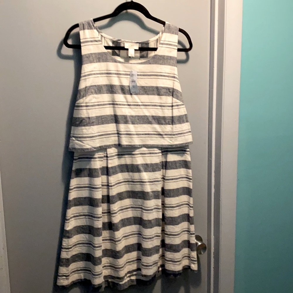 Ann Taylor Loft Dress